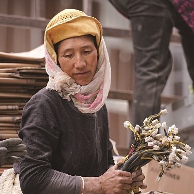 Daydqyday's profile picture. 23