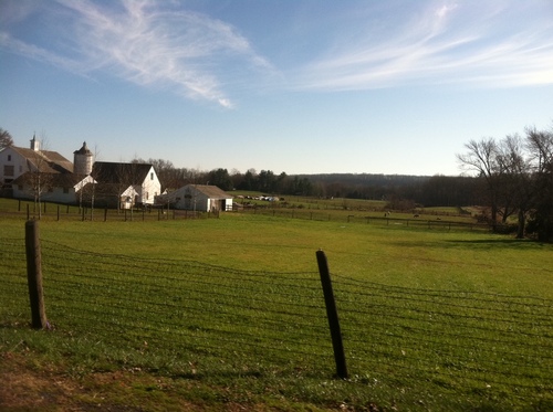 Culinary adventures in Bucks County and beyond. Cooking, gardening, wine, farm-to-table, garden-to-table, family, friends.