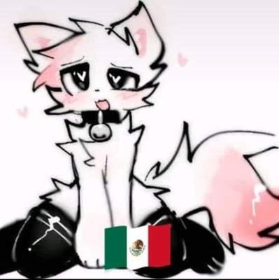 axelpromaxxd's profile picture. Made in México 🇲🇽

Bisexual 💌

Furry femboy 😸