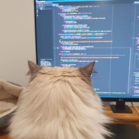 stef (@idatsy) 's Twitter Profile