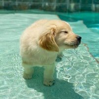 Macheeks (@tess_macheeks) 's Twitter Profile Photo Macheeks (@tess_macheeks) 's Twitter Profile Photo
