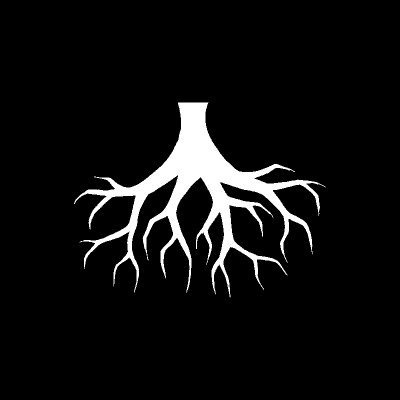 auto_root's profile picture. Updates for @Root_Ai