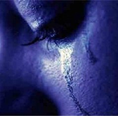 SaiTimidez's profile picture. Estou aqui para Tirar A sua Timidez , Levantar sua Auto-Estima , Trazer sua confiança, e segurança com Frases e dicas para acabar com sua timidez !