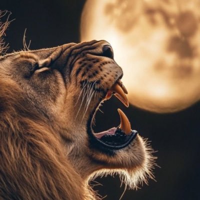 AbdulsalamHamo6's profile picture. 