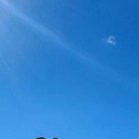 CometoDaddy (@cometodaddyal) 's Twitter Profile