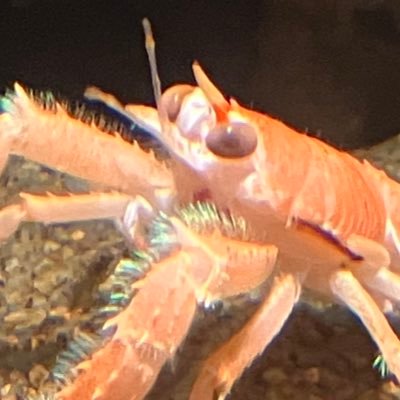 oyumaru_gm's profile picture. 趣味でゲームを作りたい社会人です。プログラミングだけしてたい。unityお勉強中📚