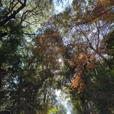 n961RofiSJ68295's profile picture. 