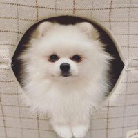 Lee (@litamui27017) 's Twitter Profile