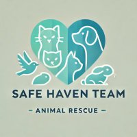 فريق ملاذ التطوعي ( الإعلانات )🤍 (@safehaventeam_) 's Twitter Profile Photo فريق ملاذ التطوعي ( الإعلانات )🤍 (@safehaventeam_) 's Twitter Profile Photo