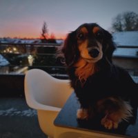 kohei (@koheiichi) 's Twitter Profile