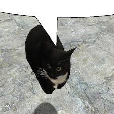 MetroKruwer's profile picture. i play helldivers 2 or warframe 24/7