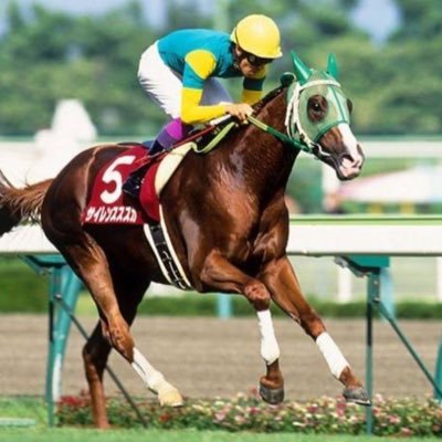 tai_ku1101's profile picture. 筋トレと競馬をこよなく愛しています！ トレーニング歴は2年。 競馬歴は27年です。 7歳の時にサイレンススズカの天皇賞で競馬の世界に入りました✨ 好きな馬はサイレンススズカとドゥラメンテとキングカメハメハです。