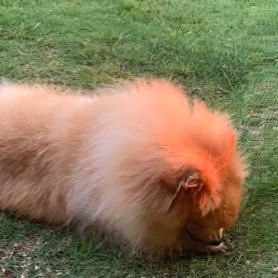 28QEcNKEUtVnmoo's profile picture. 