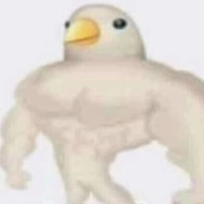 MaximoPe3lli's profile picture. este perfil no me representa