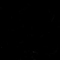 Osman_416's profile picture. Respect over Fame