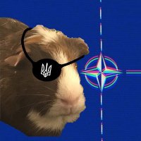 ʘPSEC? (@guiniezoo_intel) 's Twitter Profile