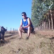 Leo QH🇨🇱 (@quinter33) 's Twitter Profile