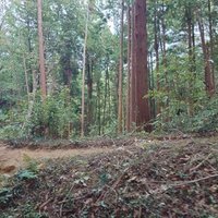 ゆっきー【ZEN大生】 (@yukky25252) 's Twitter Profile