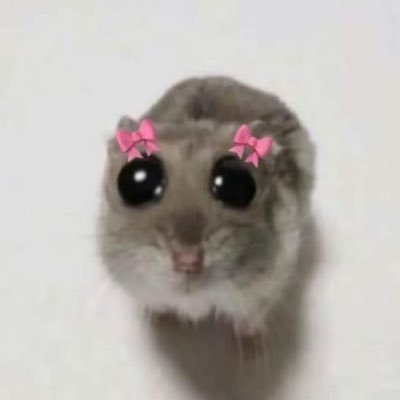 _nickjb_'s profile picture. 