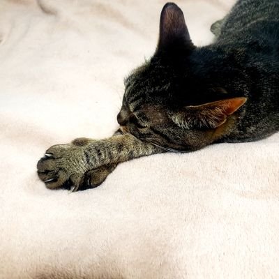 結局どこに行っても上手くいかない事務員
気づけば50over早目に全て終わりたい
メンタル波あり出没したりしなかったり
無言フォローをお許しください🙏
副業 鍵垢 エロ 🆖ごめんなさい
HSS型HSP INFJ