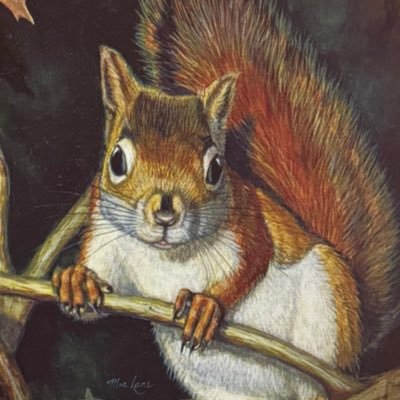 user28723942270's profile picture. 