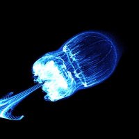 ゆうき (@yukiny_sfc) Twitter profile photo