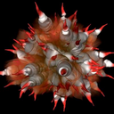 Gary Nelson - @tiad777 - Twitter