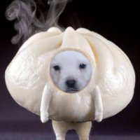 e.. (@llellob) 's Twitter Profile