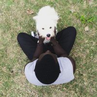Blak (@salmonjoash) 's Twitter Profile