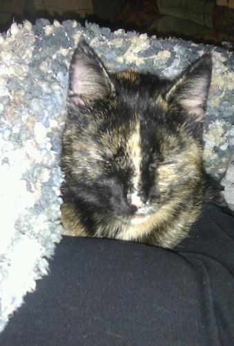 LucyDunne2's profile picture. 