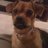 antb1122's profile image