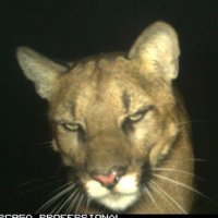 🔰 (@selomotionforme) 's Twitter Profile