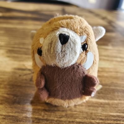 PasserbyKim's profile picture. 不求不助不問不答