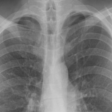 okayemily19's profile picture. 