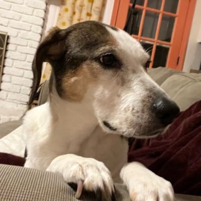 Misfit00x's profile picture. 