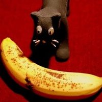 rubber cat (@robbercat) 's Twitter Profile Photo rubber cat (@robbercat) 's Twitter Profile Photo