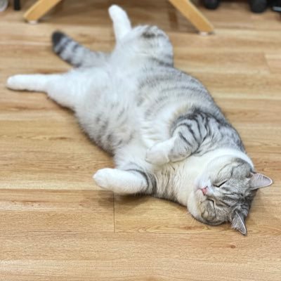 เกิดเป็นติ่งนั้นมีกรรม | หน้าไม่เป็นมิตรแต่จิตใจคิตตี้ | #โฉมฉวีรีวิว