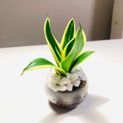 SUNAHOsmile's profile picture. ☆一児の母☆歌唄い☆LaborDayボーカル☆人生色々☆人が好き☆日々感謝☆