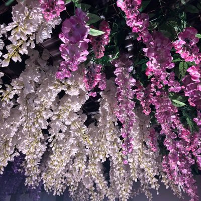 Reo@雑多兼日常垢