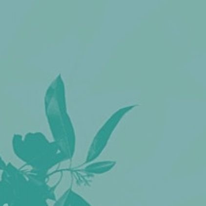 knskdhdknfb's profile picture. 