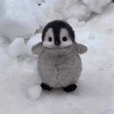 PP_Piglet17's profile picture. DMD