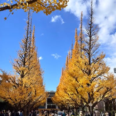 chuyenhung0415's profile picture. 