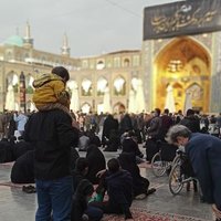 MJmashhadi (@javadmashadi98) 's Twitter Profile