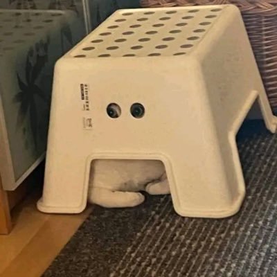 myong3e's profile picture. 