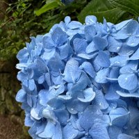 まりも (@mari_mo_ya) 's Twitter Profile