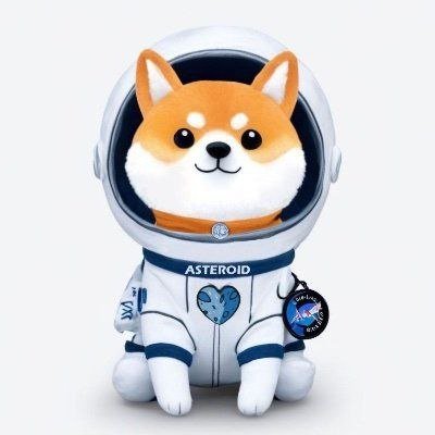 First Shiba In Space #Asteroid
CA: 0xf280b16ef293d8e534e370794ef26bf312694126
TG: https://t.co/dkrnkhqxWR
