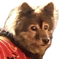 masa (@masa19273544) 's Twitter Profile