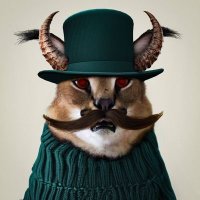 Liam | Defi-Ant Degen (@defl_ant_dege) 's Twitter Profile