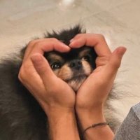aminami (@hey_yoo__7) Twitter profile photo