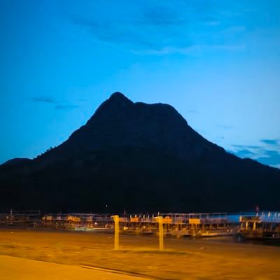 Cha51602431's profile picture. Flu scenes from dreams